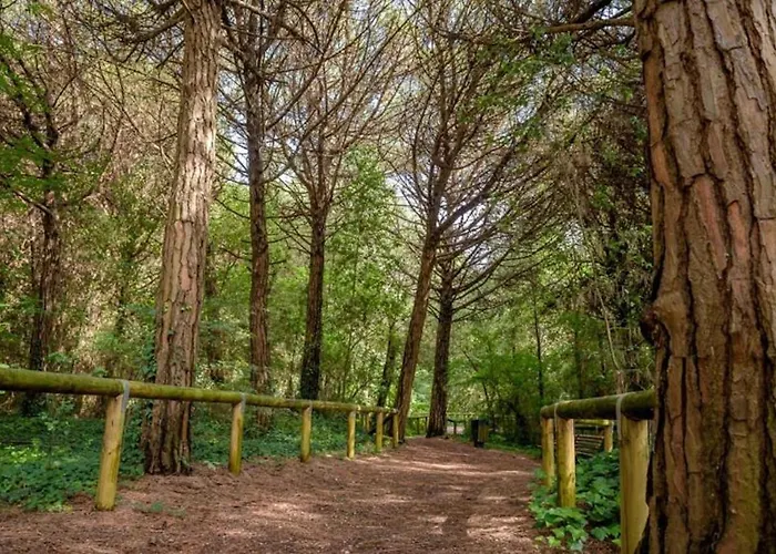 Arco * 에라클레아 마레