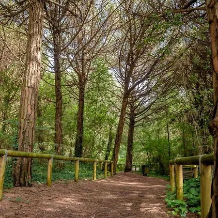 Arco * 에라클레아 마레